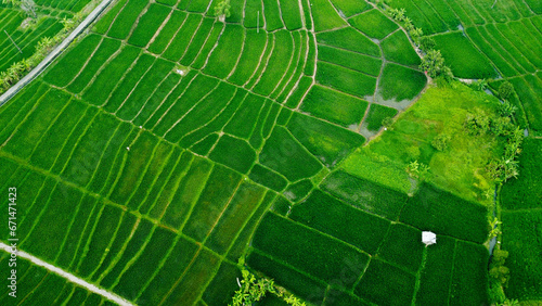 Green Scape Aerial Shot View