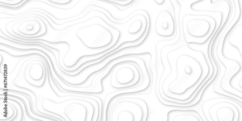 Abstract white papercut background 3d realistic design . Geometric layered curve line white background .modern white wavy background with 3D vector .
