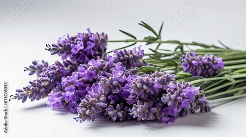 A bunch of lavender flowers on a white background
