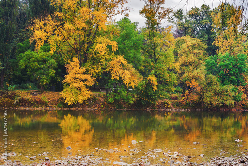trees in colorful foliage reflecting in water. autumnal nature background on an overcast day