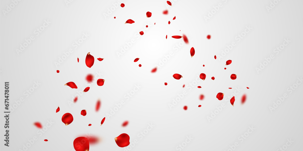 Red rose petals will fall on abstract floral background with gorgeous rose petal greeting card design.