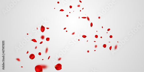 Red rose petals will fall on abstract floral background with gorgeous rose petal greeting card design.