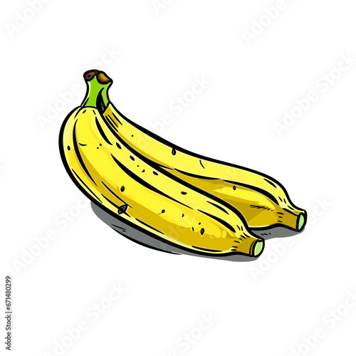 Banana hand-drawn illustration. Banana. Vector doodle style cartoon illustration