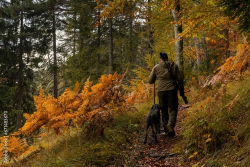 game warden hiking through forest with German shorthaired pointer on the hunt for imnjured mountain goats in the Swiss Alps photo