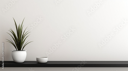 Modern black and white home decor and plants on a white background