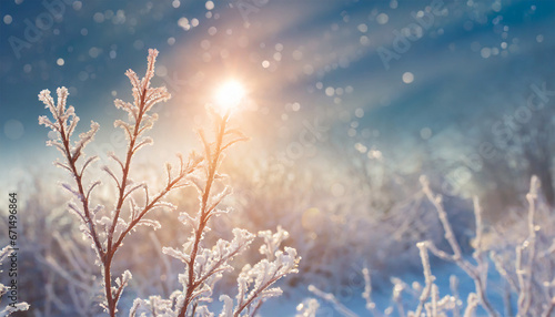 Glistening hoarfrost-covered branches in the sunlight during a winter landscape with a sun flare