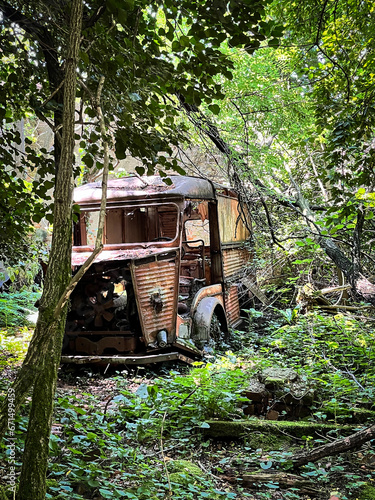 truck in the forest