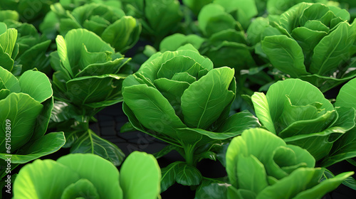 cabbages artwork in a plant dent  photorealistic artwork