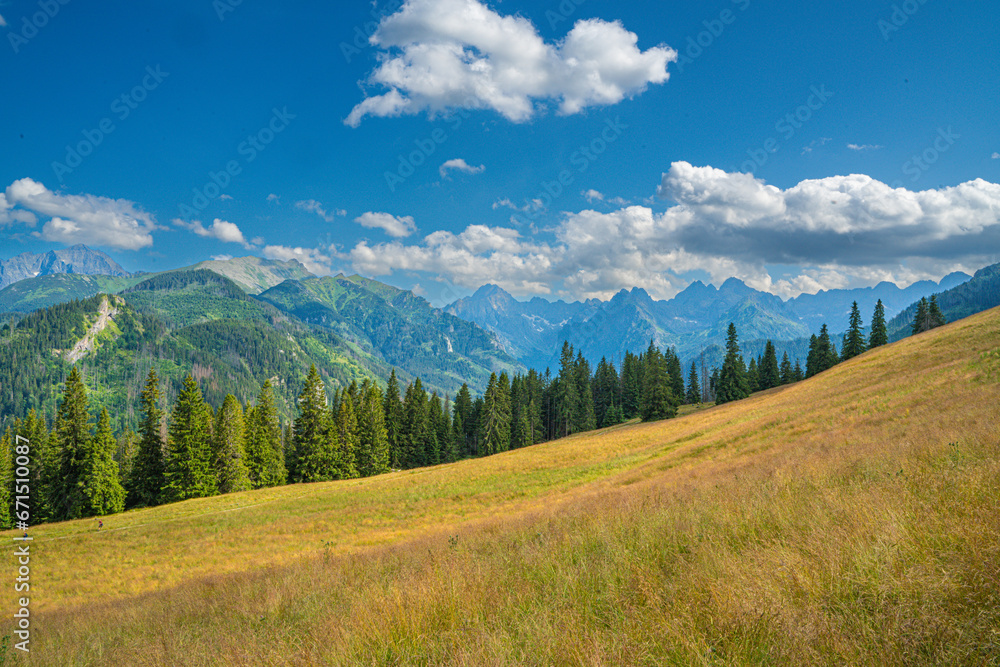 Obraz premium En route to Rusinowa Glade, Gęsia Szyja, and Hala Gąsienicowa in Tatra National Park, the trail reveals the untamed beauty of wilderness. Dense forests, diverse wildlife, and the unspoiled serenity