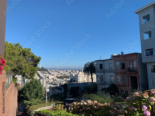 Vue depuis la Lombard street à San Francisco, avec la Coit Tower au fond, San Francisco, Californie, Etats-Unis