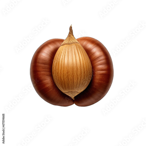 Chestnut piece isolated on transparent background