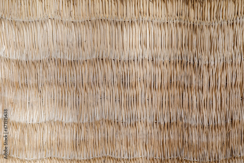 Texture of a reed fence. Th...