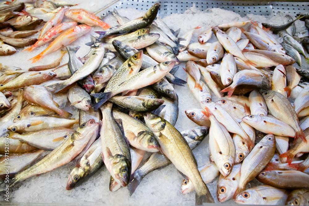 fish stall at market Portugal. Fresh chilled variety fish