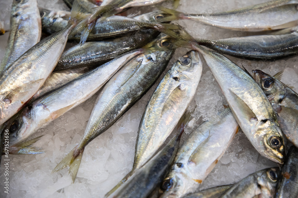 fish stall at market Portugal. Fresh chilled variety fish fish stall at market Portugal. Fresh chilled variety fish