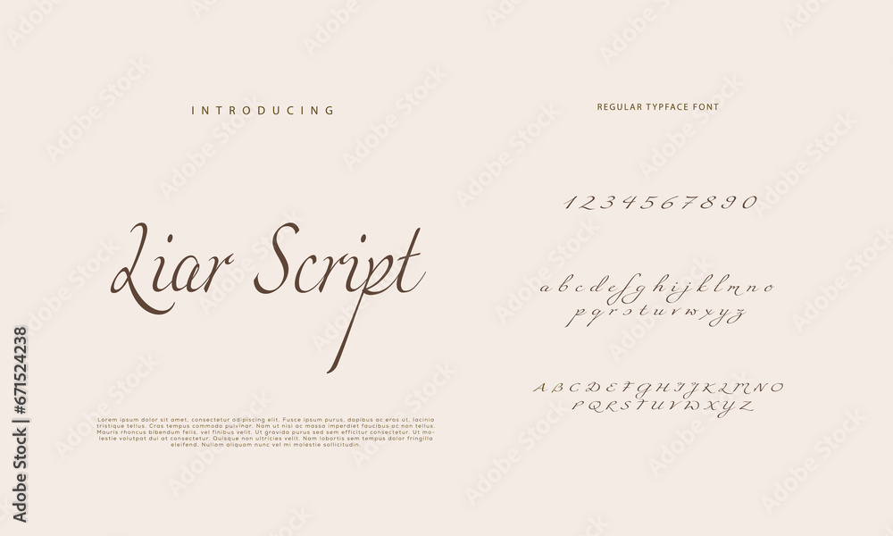 Abstract Calligraphy font alphabet. Minimal modern urban fonts for logo, brand etc. Typography typeface uppercase lowercase and number. vector illustration
Abstract Calligraphy font alphabet. Minimal modern urban fonts for logo, brand etc. Typography typeface uppercase lowercase and number. vector illustration
