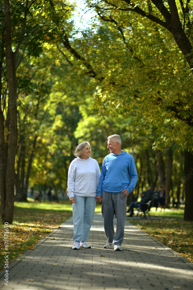 Elderly couple dance in the park in autumn. Elderly couple dance in the park in autumn.
