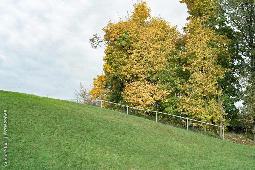 Naklejka premium Park, pagórek