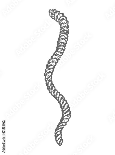 Rope, rope, thread, weave, grunge, nautical, dotwork style sketch, black and white vector illustration isolated, tattoo sticker, print