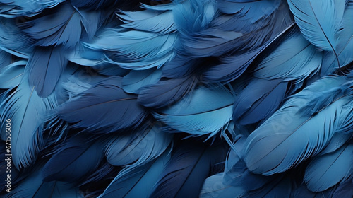 Abstract background of bright blue feathers. Illustration, wallpaper. photo
