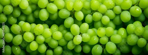 Close up of raw organic sweet green grapes background, wine grapes texture. © Artem