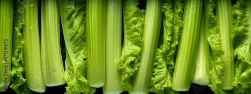 Fresh green celery texture background  Seamless close up.