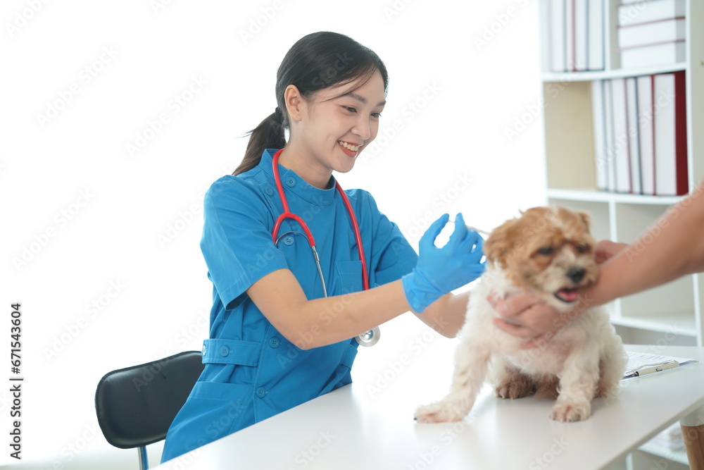 Asian female veterinarian sits examining a cute dog with a stethoscope in the veterinary clinic. There is health care and medicine for pets. Cute little dog examined by a veterinarian Asian female veterinarian sits examining a cute dog with a stethoscope in the veterinary clinic. There is health care and medicine for pets. Cute little dog examined by a veterinarian
