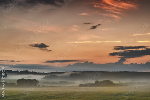 Beautiful sunrise with mist against a dramatic and colorful sky background. Calm and breathtaking landscape view on a field in the countryside with blooming trees on a foggy and overcast morning © Dhoxax/peopleimages.com