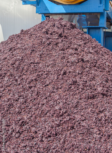 Expulsion of the pomace at winemaking factory