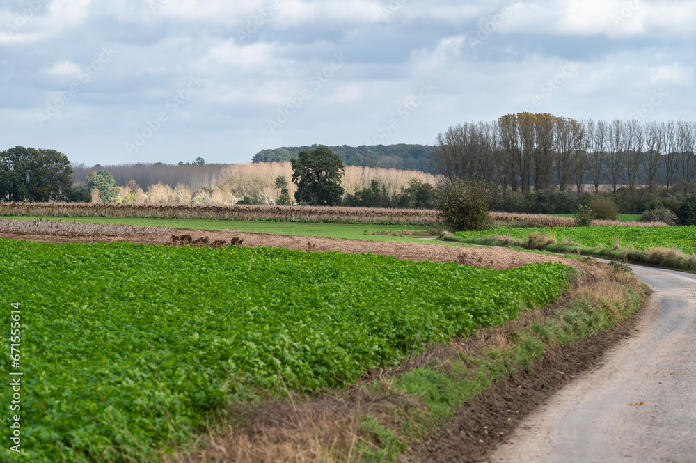 Bending countryroad through the agriculture fields around Lennik, Brabant, Belgium