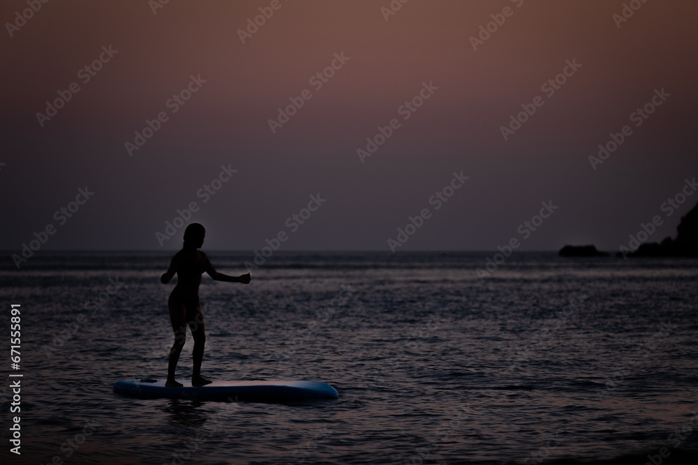 silhouette of a person with a surfboard