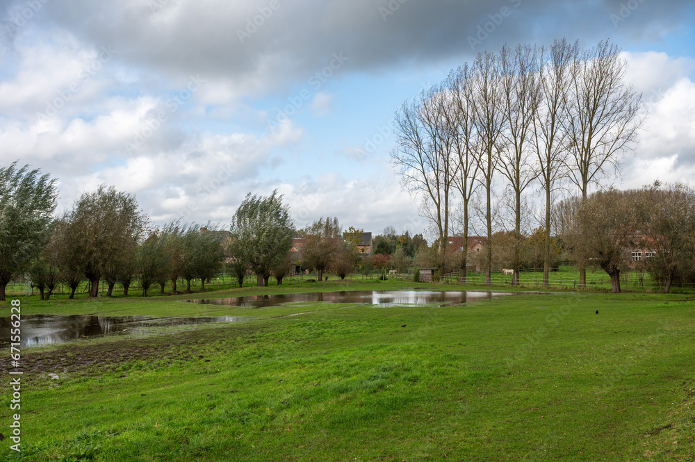 Reflecting natural water ponds and trees at the Pajottenland around Lennik, Brabant, Belgium