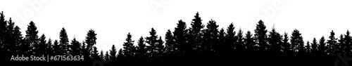 Beautiful forest, black silhouette, coniferous trees. Vector illustration