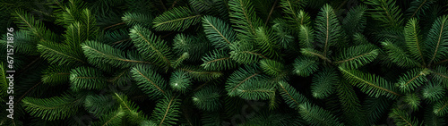 Fir branches green needle abstract background Christmas texture. Horizontal composition, banner.