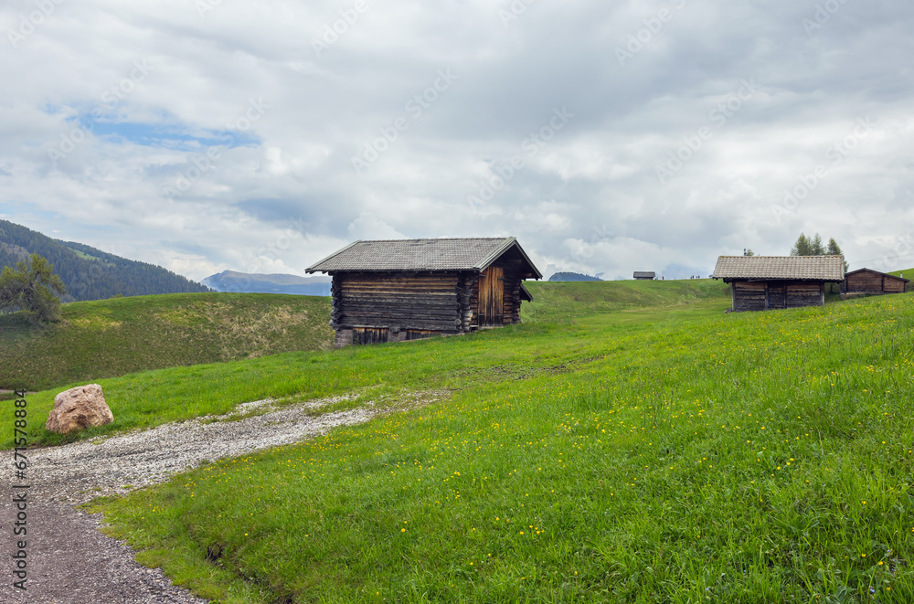 Alpe di Siusi in the Dolomites Italy Alpe di Siusi in the Dolomites Italy