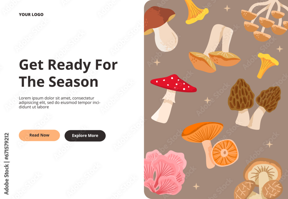 Edible and poisonous mushrooms. Mushroom season in a forest. Vector cartoon illustration for landing page, and web page banner.