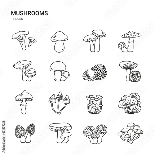 Icon set with mushrooms. Edible and poisonous fungus. Chanterelle, porcini, truffles, shiitake, and others. Simple vector line illustrations.