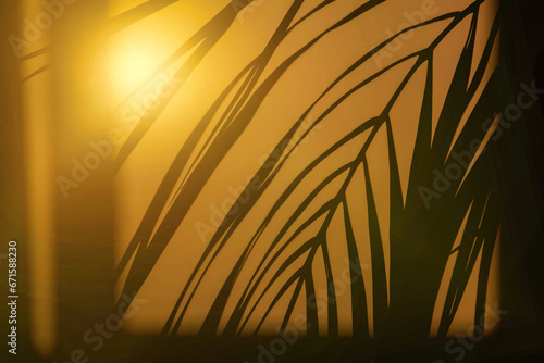 Silhouettes of tropical palm branches and boho decoration at evening window. Abstract background of palm leaves with shadows at sunshine. Backgrounds modern design concept. Copy ad text space banner