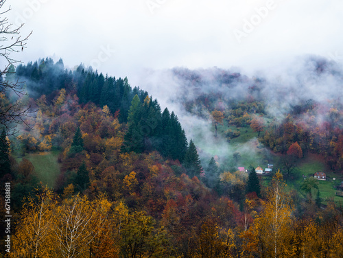 Misty fall Carpathian Mountains fog landscape. Village in Transcarpathia region Foggy spruce pine red yellow trees forest scenic view Ukraine, Europe. Autumn countryside Eco Local tourism Recreational