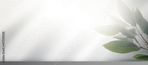 Abstract bokeh overlay on white background for product presentation backdrop and mockup