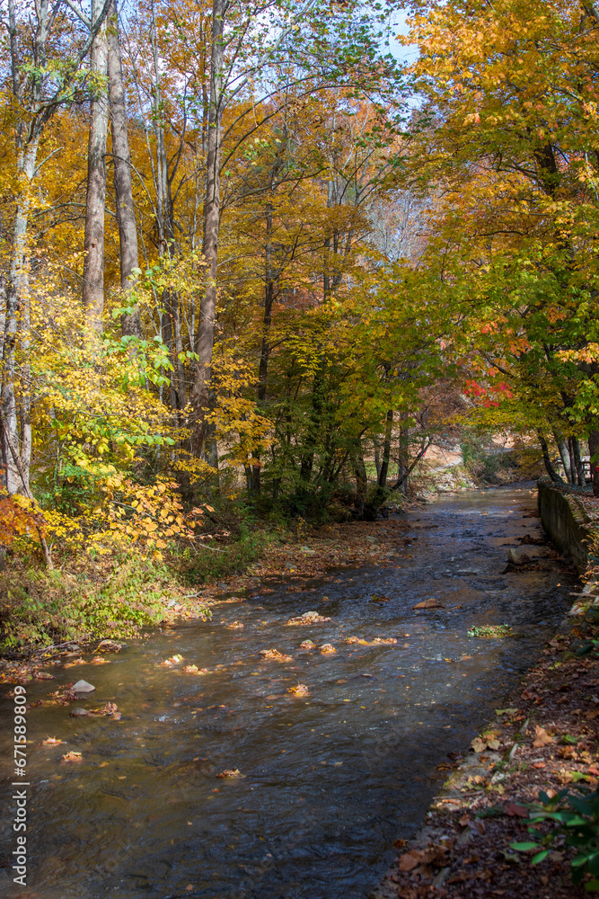Fall colors in the Blue Ridge Mountains of western North Carolina Fall colors in the Blue Ridge Mountains of western North Carolina