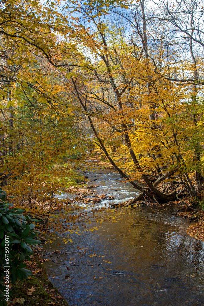 Fall colors in the Blue Ridge Mountains of western North Carolina