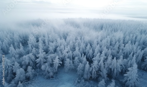 A Breathtaking Winter Wonderland Revealed From Above © uhdenis