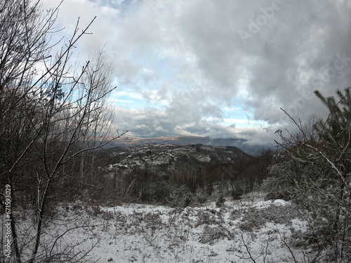 Panorama of winter landscape. Snowy forest under gray sky with white fluffy clouds.