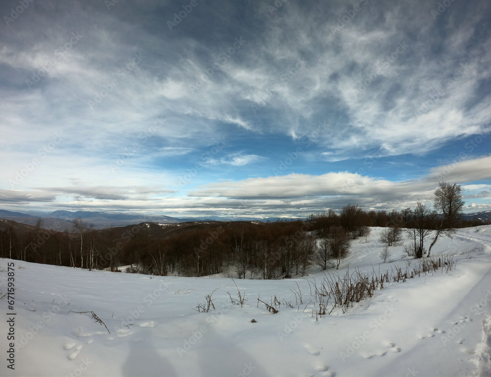 Panorama of winter landscape. Snowy forest under blue sky with white fluffy clouds. Panorama of winter landscape. Snowy forest under blue sky with white fluffy clouds.