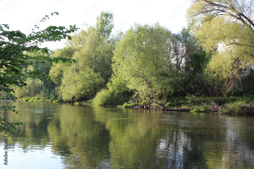 Sunny day on the river. Green tries on the sun. Sunny day on the river. Green tries on the sun.