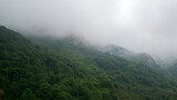 Fog settling between two mountains. Green natural forest at the foot of the mountains. Aerial view
