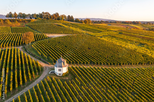Bird's-eye view of autumn-colored vineyards near Eltville am Rhein - Germany photo