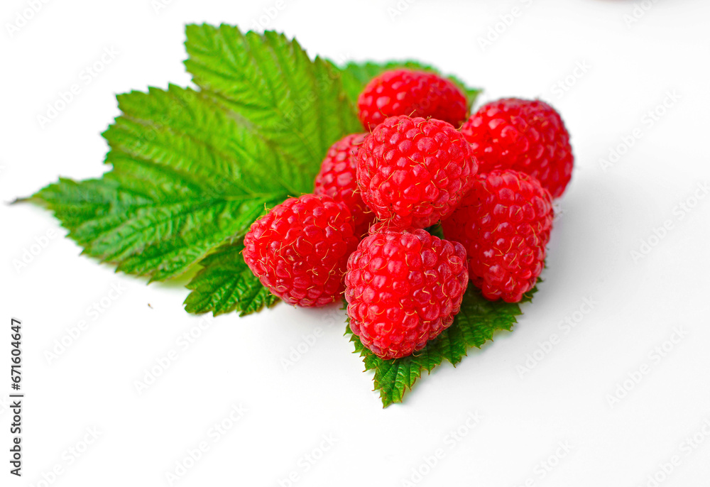 maliny na liściach na białym tle, czerwone maliny, soczyste maliny z zielonym liśćmi, red raspberries on leaves on white background, red raspberries, juicy raspberries with a green leaf, Rubus idaeus