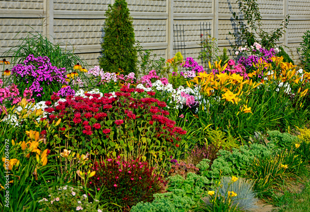 Pysznogłówka, liliowce i floksy wiechowate w ogrodzie, Monarda didyma, Hemerocallis, Phlox paniculata, ogród kwiatowy, ogród z kwitnącymi byliami, colorful flowerbed, flowers garden, flower perennial Pysznogłówka, liliowce i floksy wiechowate w ogrodzie, Monarda didyma, Hemerocallis, Phlox paniculata, ogród kwiatowy, ogród z kwitnącymi byliami, colorful flowerbed, flowers garden, flower perennial