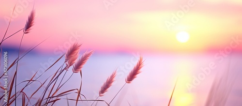 Close up of a grass stem near a calm sea at sunset with a beautiful watercolor background in soft hues